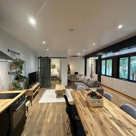 Apartment T3 Style Loft, Au Calme, Plein Centre Et Climatise *