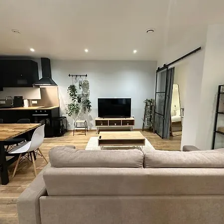 T3 Style Loft, Au Calme, Plein Centre Et Climatise Apartment