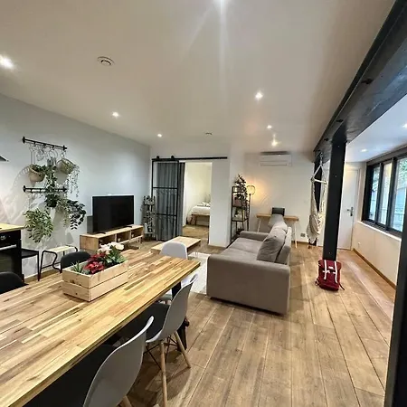 Apartment T3 Style Loft, Au Calme, Plein Centre Et Climatise