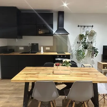 T3 Style Loft, Au Calme, Plein Centre Et Climatisé Montpellier