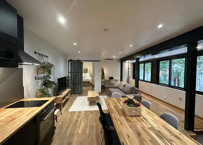 Apartment T3 Style Loft, Au Calme, Plein Centre Et Climatise *