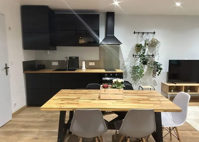 T3 Style Loft, Au Calme, Plein Centre Et Climatise Montpellier