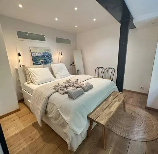 T3 Style Loft, Au Calme, Plein Centre Et Climatise Montpellier