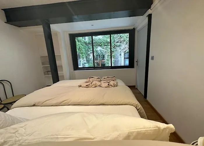 T3 Style Loft, Au Calme, Plein Centre Et Climatise Apartment *
