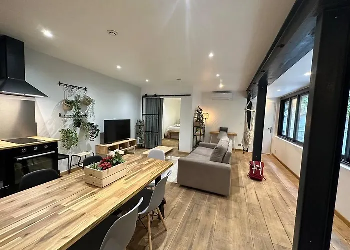 Apartment T3 Style Loft, Au Calme, Plein Centre Et Climatise