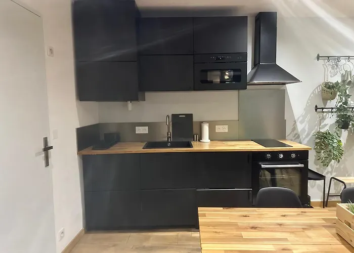 Apartment T3 Style Loft, Au Calme, Plein Centre Et Climatise